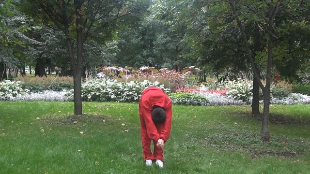 Комплекс цигун Синг Шен Джуан (Xing Shen Zhuan). Мастер Ли Минь. ХэДао смотреть онлайн