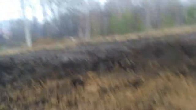 снятие растительного слоя на стройплощадке смотреть онлайн