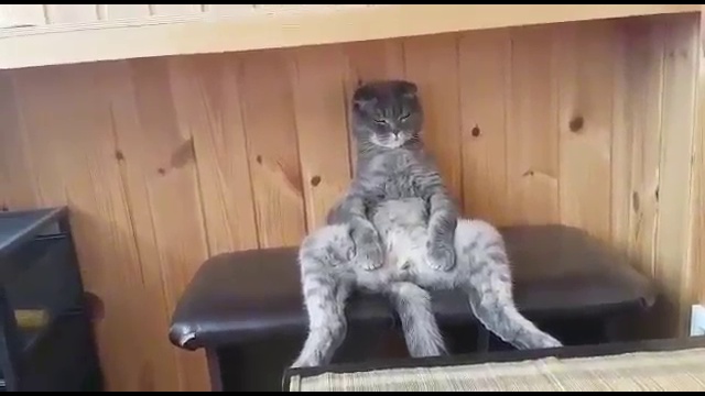 Степа, там суши привезли, пойдем есть смотреть онлайн