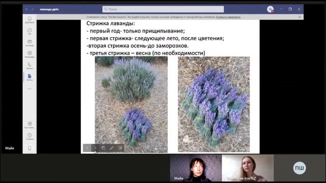 Дизайн и Оформление Сайтов