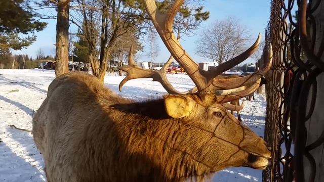 Зимняя Чусовая смотреть онлайн
