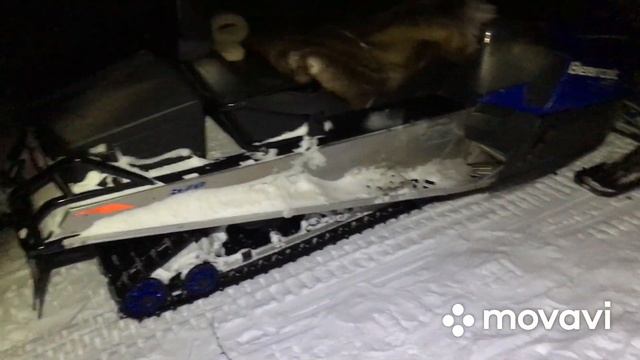 Первые впечатления от Arctic cat bear cat 570 xt, для чего и для кого он сделан и для каких задач смотреть онлайн