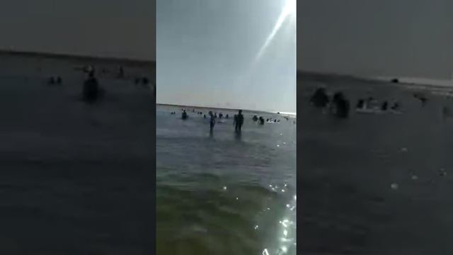 Пляж Джемете в Анапе. Божьи коровки одолели. 15 июля 2021 смотреть онлайн