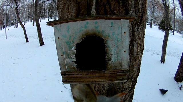 Скоро зима. смотреть онлайн