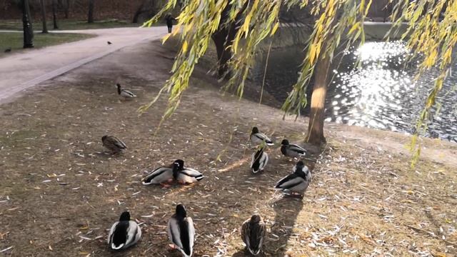 Я забеременела, а он оказался женатым - тогда я пошла на самый отчаянный шаг в своей жизни смотреть онлайн