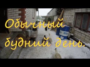 Обычный будний день ЛПХ