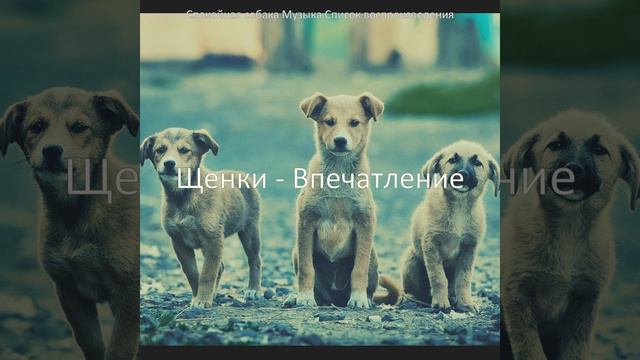 Настроения (Спокойные собаки) смотреть онлайн