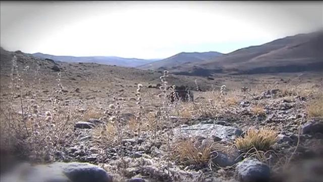 Сибирь : Сон Бога. Золотой запас России смотреть онлайн