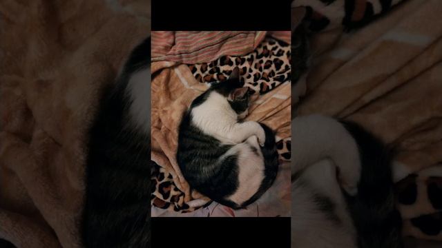 Видео с милахой?? смотреть онлайн