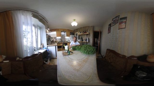 evocook 2888 Проростки Гречки в Проращивателе Зерна