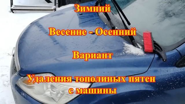 Как отмыть тополиные / берёзовые почки с кузова машины