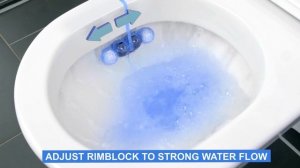 How to use Bref Blue Active - Toilet Rim Block Installation Instruction