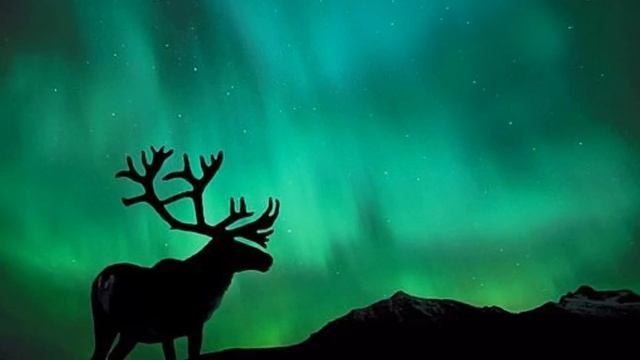 Ямал. смотреть онлайн