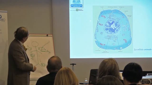 FISICA QUANTISTICA E MEDICINA . Prof. Piergiorgio Spaggiari