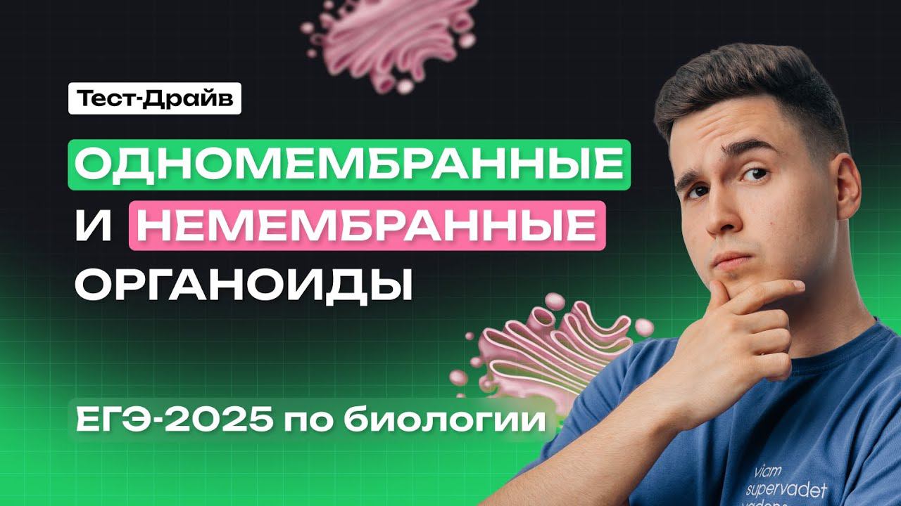 ОРГАНОИДЫ КЛЕТКИ. ОДНОМЕМБРАННЫЕ И НЕМЕМБРАННЫЕ ОРГАНОИДЫ (часть 2) | Тест-Драйв | NeoFamily смотреть онлайн