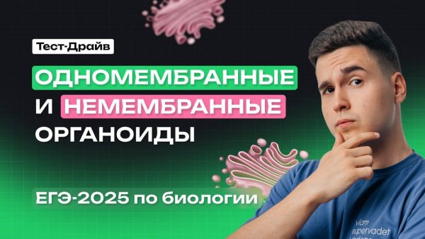ОРГАНОИДЫ КЛЕТКИ. ОДНОМЕМБРАННЫЕ И НЕМЕМБРАННЫЕ ОРГАНОИДЫ (часть 2) | Тест-Драйв | NeoFamily