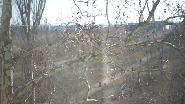 Дела, которые приносят радость | Медленная жизнь смотреть онлайн