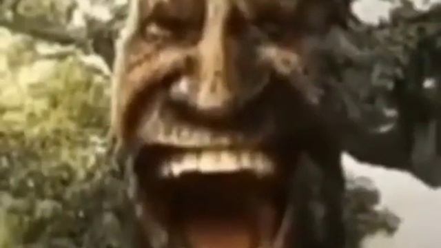 Мудрый дуб смефняфка (мем) смотреть онлайн