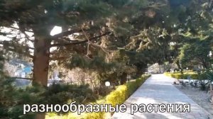 Сосновый санаторий МВД