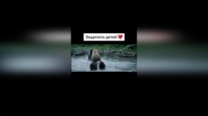 Самые смешные животные / Приколы с котами и собаками 2022