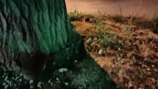 Встретил Ёжика и угостил!=) смотреть онлайн