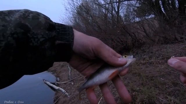 Тест спиннинга DAYO NEREUS 0-3гр! Наноджиг или Мормышинг (микроджиг)? смотреть онлайн