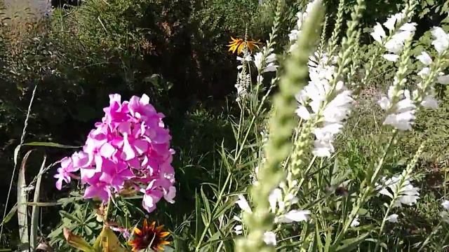 Тест Meizu MX4 Pro: режим замедленной съёмки