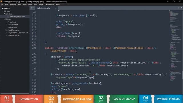 PayG Payment Gateway Integration in PHP [Step by Step Guide] смотреть онлайн