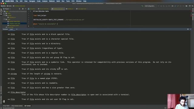 How to Test Docker Images and Shell Scripts (with bats-core) смотреть онлайн