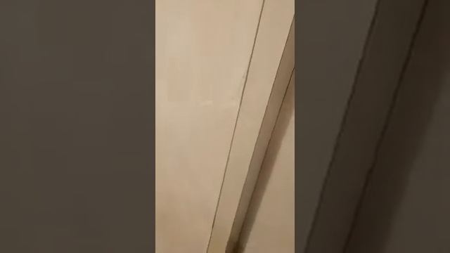 Турецкий хамам в квартире! смотреть онлайн