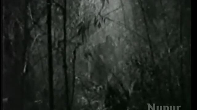 Sach Ka Yeh Path - Shravan Kumar Songs - Anant Kumar - Nalini Chonkar смотреть онлайн