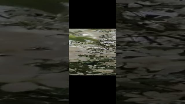 весна в Красноярске смотреть онлайн