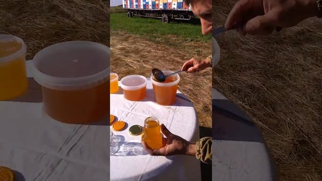 Натуральный мёд на пасеке в Алтайском крае