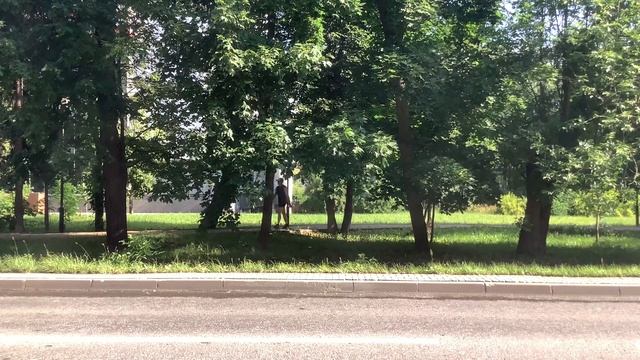 Поездка на автобусе 434 от Новогорска до метро Планерная смотреть онлайн