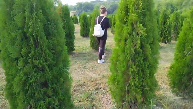 Сафари-парк «Кудыкина гора» 2022г. смотреть онлайн