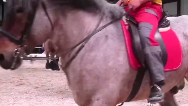 Иппосфера -2015 тяжеловозы часть 1 смотреть онлайн