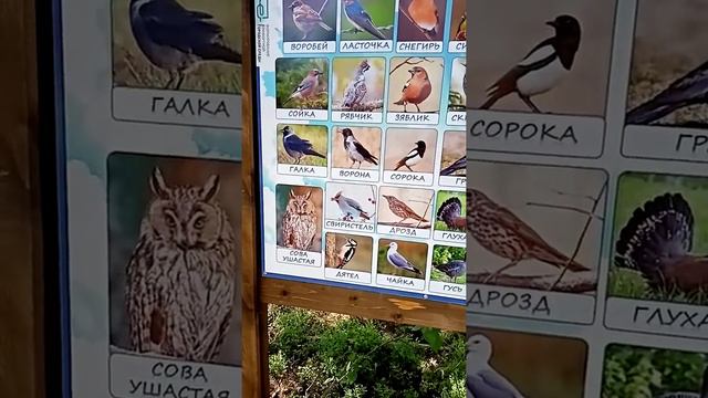 Эко тропа смотреть онлайн