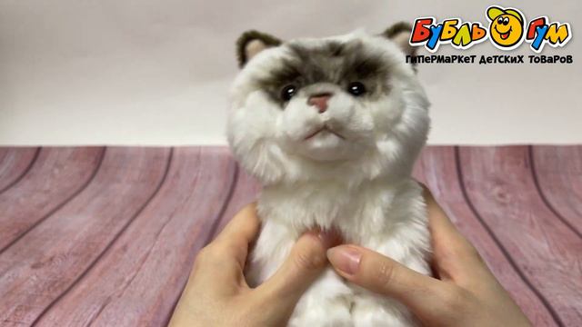 Игрушка мягкая кошечка Рэгдолл 15см смотреть онлайн
