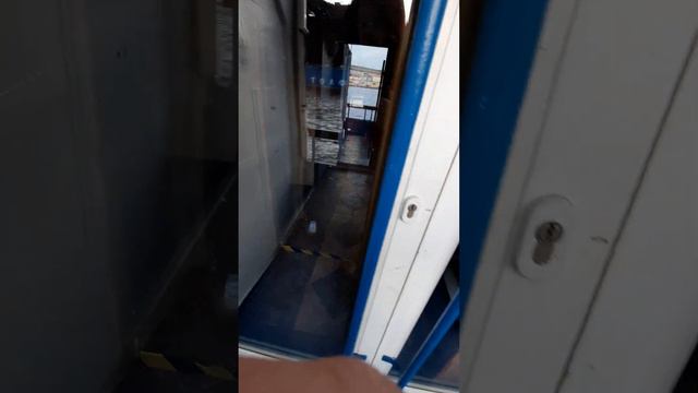 Санкт-Петербург нива. смотреть онлайн