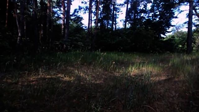 САМВЕЛ ПОСЫЛКА С ЗОЛОТОМ ОТ НЕАДЕКВАТНОЙ. ПРО СУРОГАТНОЕ МАТЕРИНСТВО