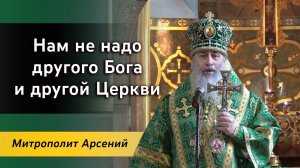 Нам не надо другого Бога и другой Церкви: проповедь митр. Арсения в День Святой Троицы 12.06.2022 г.
