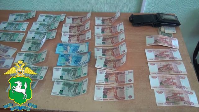 В Томской области полицейские задержали подозреваемого в хищении денежных средств смотреть онлайн