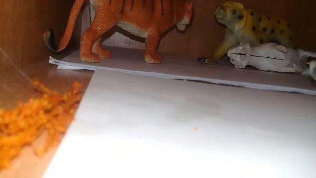 Где живут мои животные смотреть онлайн