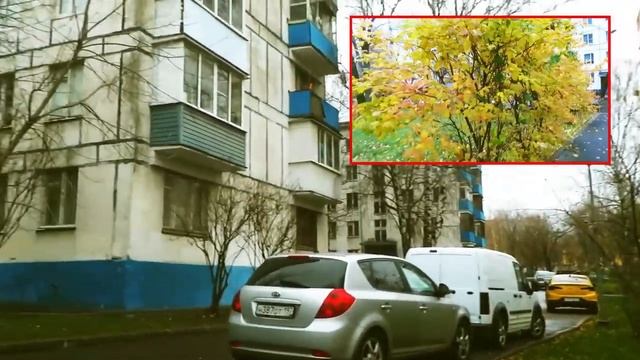 Почему я снимаю вертикальные ролики Видео. смотреть онлайн