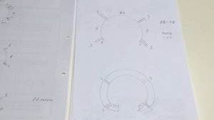 Джемпер с ажурными рукавами. Реглан сверху. Росток. Raglan von oben.