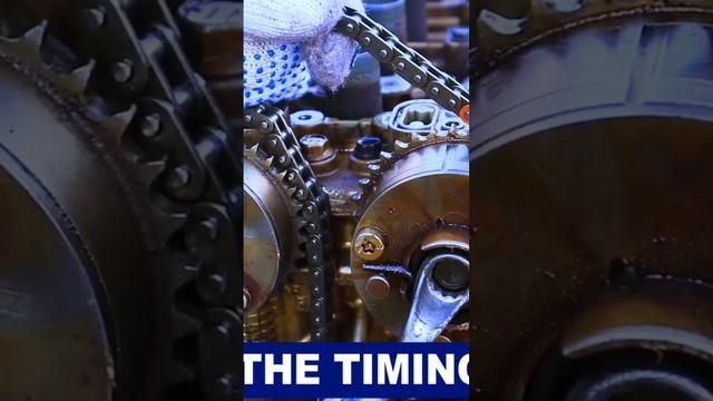 1 nr engine timing marks #automobile смотреть онлайн