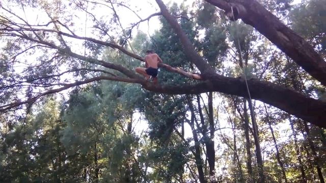 Прыжок в воду с дерева смотреть онлайн