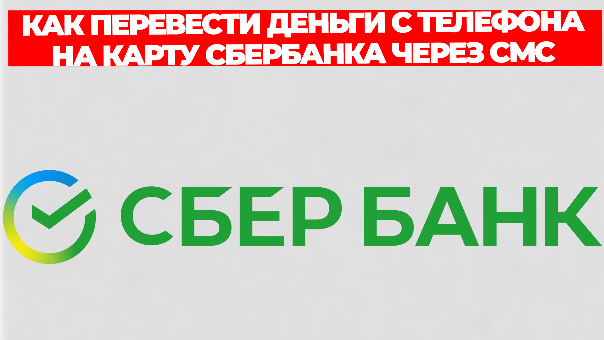 Всезнающий Енот