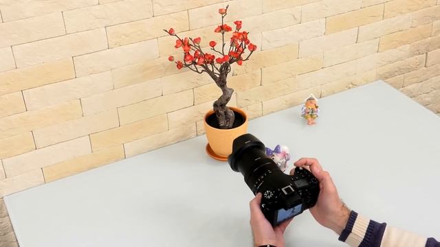 Обзор фотокамеры Sony RX10 IV с 25-кратным зум-объективом смотреть онлайн