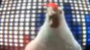 Курица поет  ¦  Chicken song {ЗвероПой}  ¦  Приколы